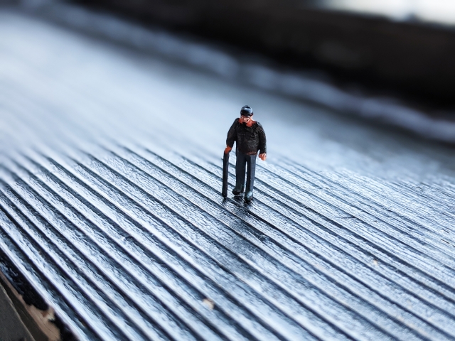 https://beardog.or.jp